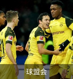 球盟会案例